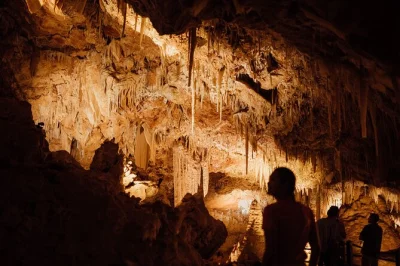 Start above ground in yallingup’s bushland, follow interactive trails, then explore ngilgi cave’s ancient chambers at your pace. includes entry & guides inside.