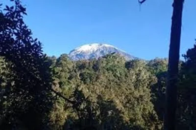 Descubre kilimanjaro en una excursión desde moshi con guía local, camina por la ruta marangu entre selva y monos, y disfruta un almuerzo en mandara hut. incluye recogida.