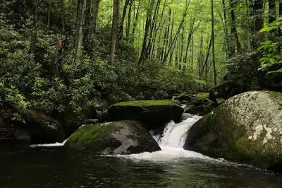 Appalachian Waterfalls Hike: Great Smoky Mountains with guide