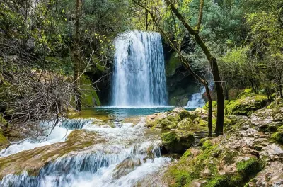 Ruinas de Conimbriga y valle del río Mouros: Caminata guiada