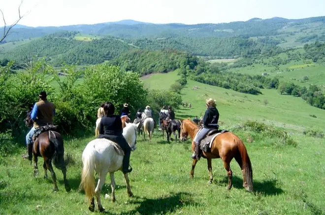 Equitazione a Francica: Sentieri di campagna con picnic