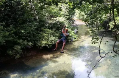 Ziplining from Belize City: 7 lines through rainforest canopy