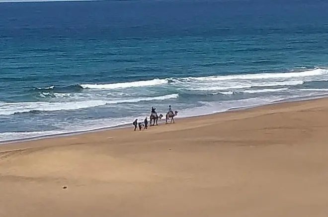Tour de um dia por Tânger e Asilah: Kasbah, cavernas e Hércules