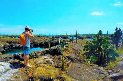 Snorkeling aux îles Galápagos : Los Tuneles et Darwin