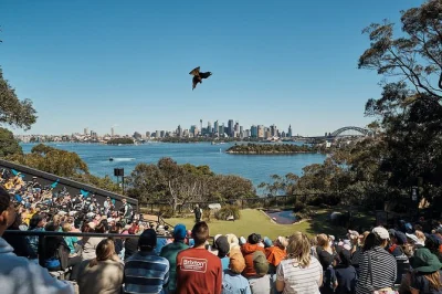 Acércate a koalas, canguros y animales criados a mano en taronga zoo sydney. incluye teleférico sky safari, tour en grupo pequeño y acceso todo el día al zoológico.
