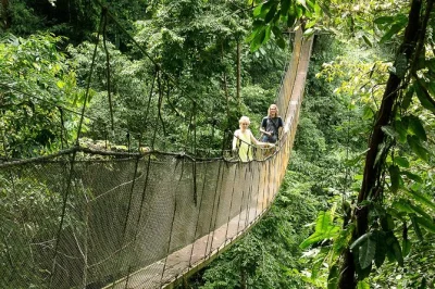 Explora senderos en la selva, cruza puentes colgantes y nada bajo cascadas en parque rainmaker, cerca de manuel antonio. transporte privado y guía local incluidos.