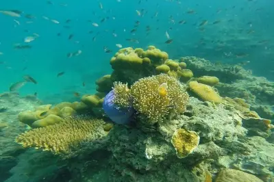 Snorkeling a Ko Lanta: 4 isole e grotta di smeraldo