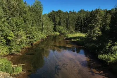 Fly Fishing Guided Experience in Kings County: Learn to Cast