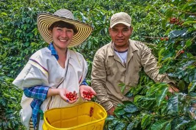 Tour café à Cali : Découvrez le café 100 % colombien à la ferme