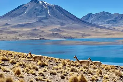 Piedras Rojas : Roches rouges et lagunes d'altitude