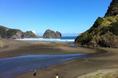 Siente la arena negra de la playa piha, recorre los senderos de la selva waitakere y disfruta vinos locales con almuerzo en viñedos familiares cerca de auckland.