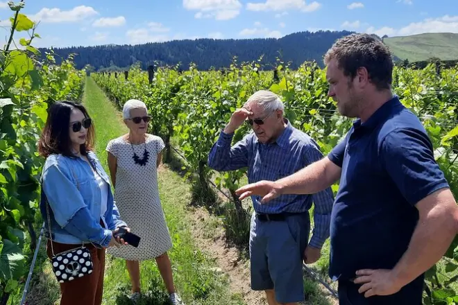 Martinborough cantine e sapori: Visita a cinque produttori artigianali