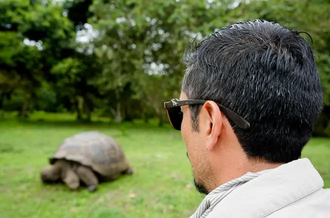 Von Baltra nach Santa Cruz mit Stopp im Riesenschildkröten-Reservat