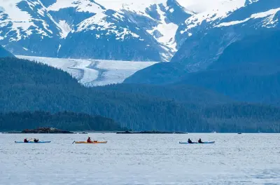 Kayak à Juneau : Zones d’alimentation des baleines à bosse