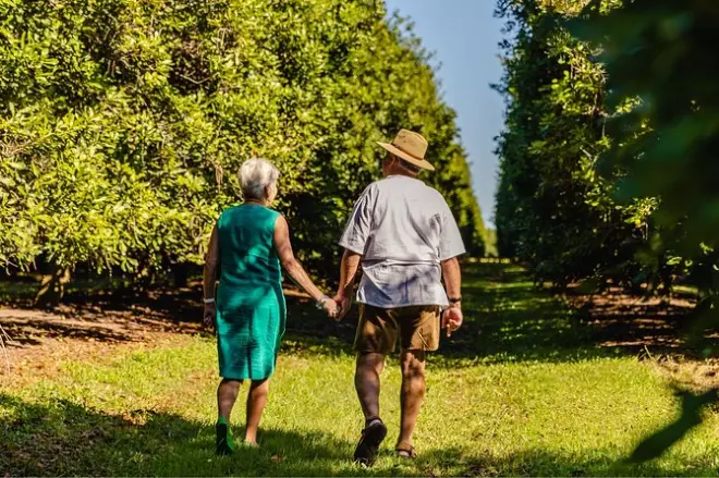 Macadamia-Plantagen-Tour in Bundaberg: Vom Baum bis zum Tisch