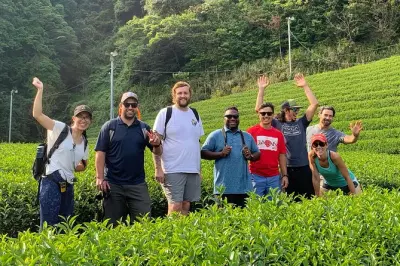 Visite guidée à vélo jusqu’à une plantation de thé vert à Shizuoka