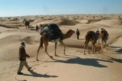 Hammamet: Tour tra set di Star Wars e rovine romane