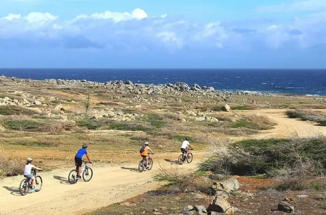 Tour privado de mountain bike em Aruba: Trilhas com cactos e litoral