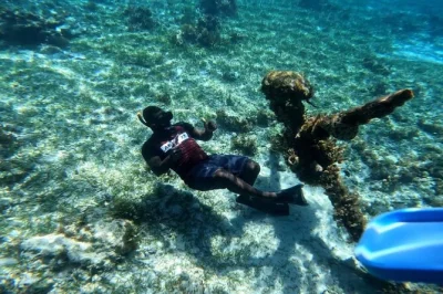 Feel the caribbean under your feet on a negril glass bottom boat tour, snorkel vibrant reefs, and unwind at booby cay island with fresh lobster. includes hotel pickup.