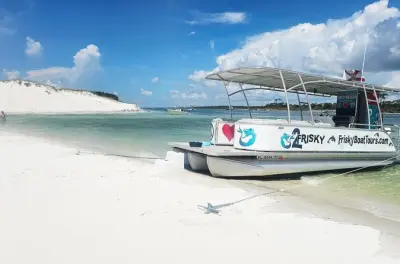 Snorkeling in Pensacola Beach: Dolphins, reefs & hidden beaches