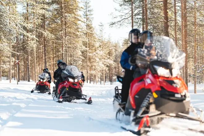 1 Hour Snowmobile Safari in Levi: Easy Beginner Ride