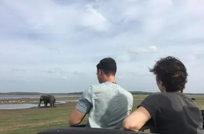 Safari in jeep privato al parco Minneriya con elefanti asiatici
