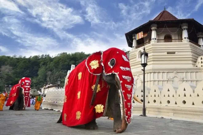 Private Transfer Sigiriya to Kandy: Four Temple & Garden Stops