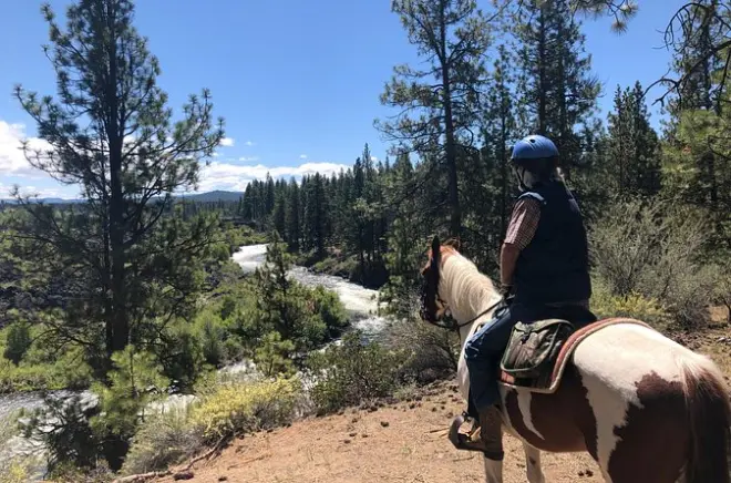 Privater Ausritt am Deschutes River durch Ponderosa-Kiefern
