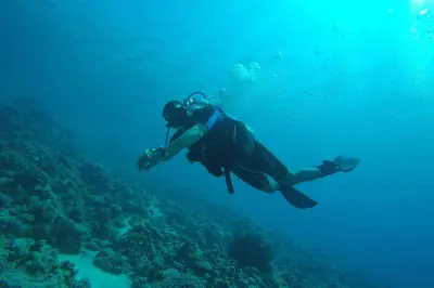 Prova le immersioni subacquee ad Aqaba e respira sott’acqua