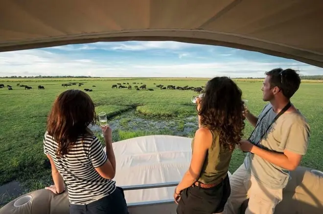 Chobe Tagesausflug ab Victoria Falls: Big Five Safari & Bootstour
