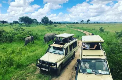 Safari de 3 jours au parc national de Mikumi depuis Dar es Salaam