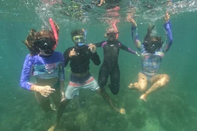 Descubra a ilha do macuco com snorkel, fotos subaquáticas e um passeio de barco tranquilo saindo de zimbros. equipamento completo, guia certificado e ideal para iniciantes.
