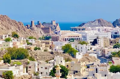 Muscat City Tour with Local Guide: Sultan Qaboos Mosque & Souq
