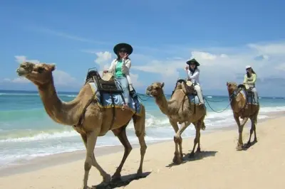 Safari chameau à Nusa Dua sur la plage de sable blanc, 1 heure