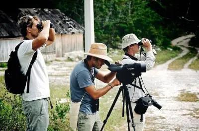 Avistamiento de aves en Muyil desde Tulum: 40–80 especies