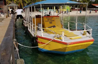 Roatan: Barco com fundo de vidro e vida marinha incrível