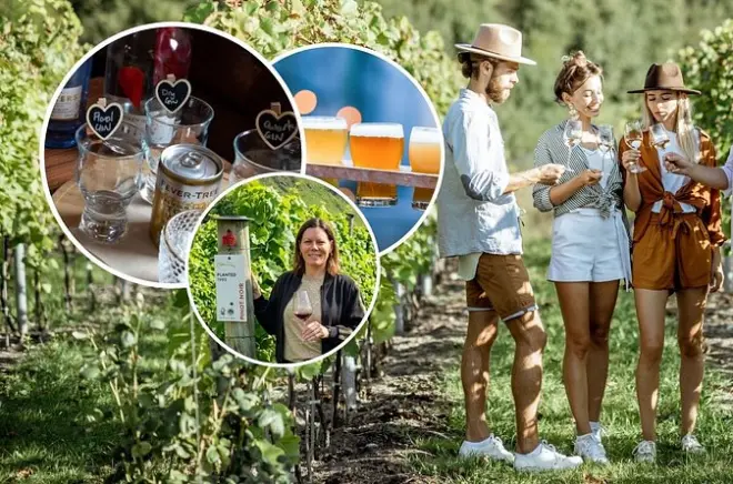 Queenstown Gin, Wine & Beer Tour: Three tastings in one afternoon