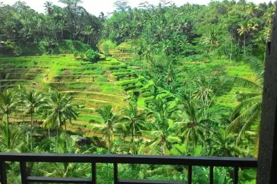 Forêt des singes, cascade et rizières d’Ubud : Visite privée Bali