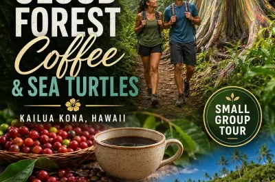 Kona Cloud Forest Coffee & Sea Turtles Shore Excursion