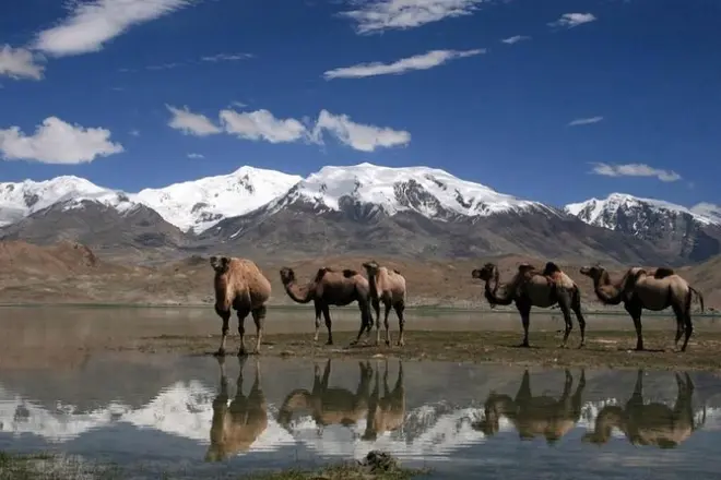 Route du Pamir 5 jours de Douchanbé à Osh avec transport privé