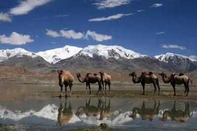 Route du Pamir 5 jours de Douchanbé à Osh avec transport privé