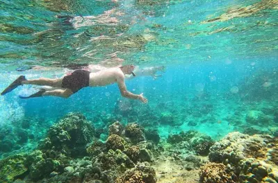 Snorkeling a Hilo: Tartarughe marine e laguna di sabbia nera