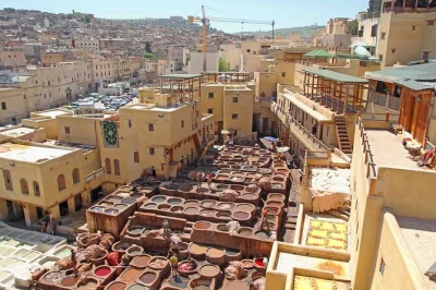 Scopri la medina di fez con un tour privato di mezza giornata, con pick-up in hotel, visite agli artigiani e guida locale—visita concerie, moschee e cortili nascosti.