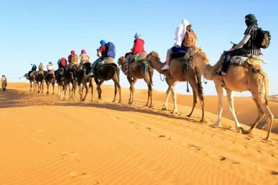 Cambia el bullicio de marrakech por kasbahs, pueblos bereberes y un paseo en camello por el sahara en este viaje de 3 días a fez con noche en campamento y comidas locales.