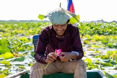 Scopri la seta di loto a siem reap, naviga tra i campi fioriti in barca e crea pezzi unici con artigiani khmer. trasporto incluso.