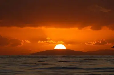Tramonto a Catalina Island: Leoni marini e viste sul Pacifico