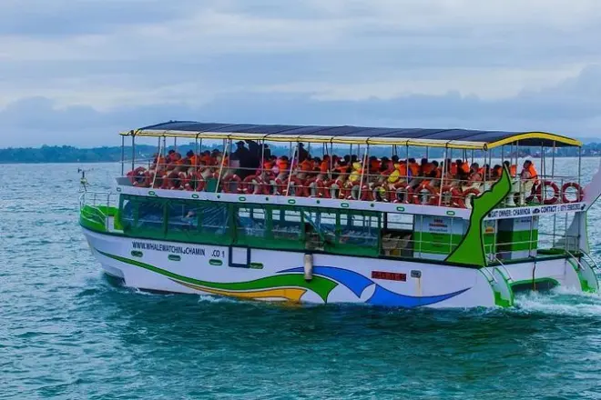 Bentota Whale & Dolphin Watching Private Boat Tour