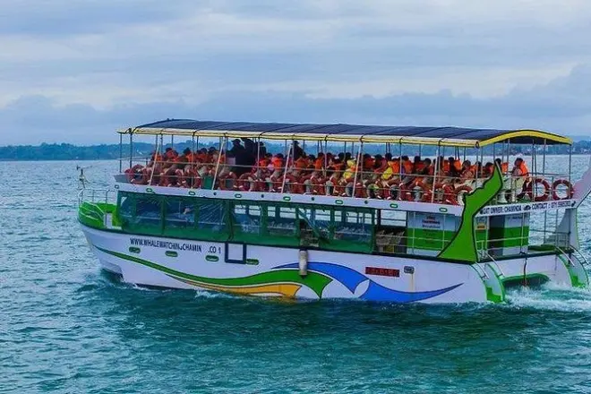 Whale & Dolphin Watching Tour Bentota: Mirissa Boat Ride