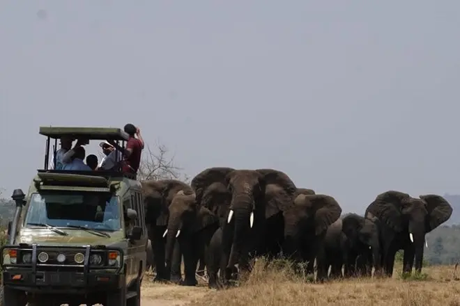 Privater Akagera Safari-Tag ab Kigali: Ganztägige Wildbeobachtung