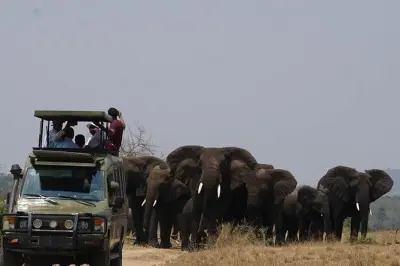 Privater Akagera Safari-Tag ab Kigali: Ganztägige Wildbeobachtung